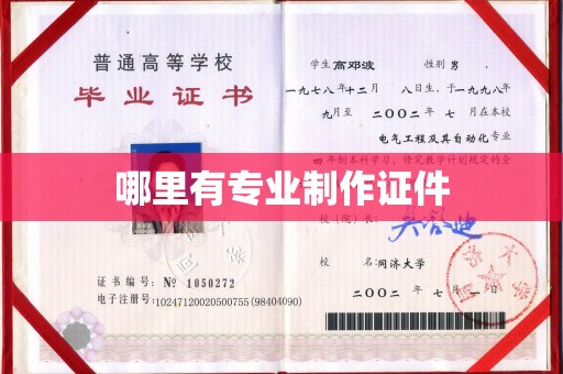 驿城哪里有专业制作证件