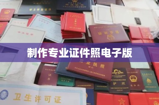 驿城制作专业证件照电子版