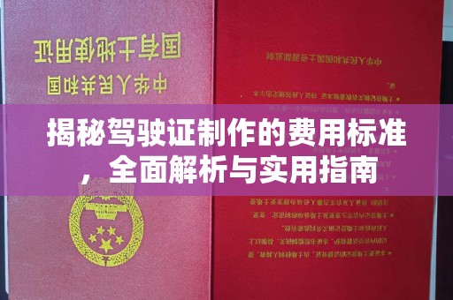 驿城揭秘驾驶证制作的费用标准，全面解析与实用指南
