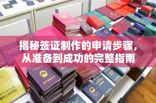 驿城揭秘签证制作的申请步骤，从准备到成功的完整指南