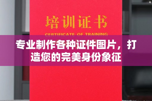 驿城专业制作各种证件图片，打造您的完美身份象征