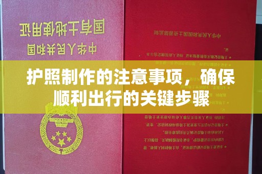 驿城护照制作的注意事项，确保顺利出行的关键步骤