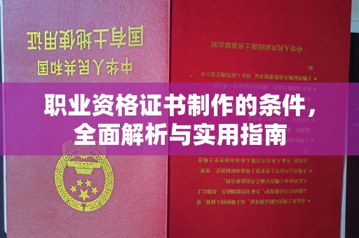 驿城职业资格证书制作的条件，全面解析与实用指南