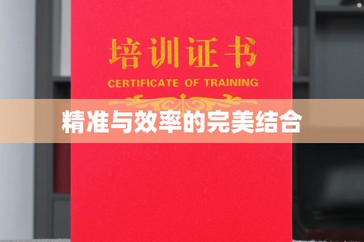驿城精准与效率的完美结合